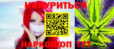 стаф Заводоуковск