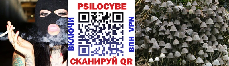 Галлюциногенные грибы Psilocybine cubensis  Тихвин 
