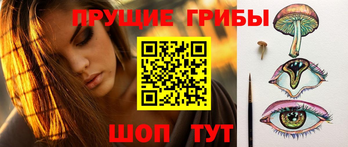 Тихвин  Псилоцибиновые грибы GOLDEN TEACHER  Вход с VPN 