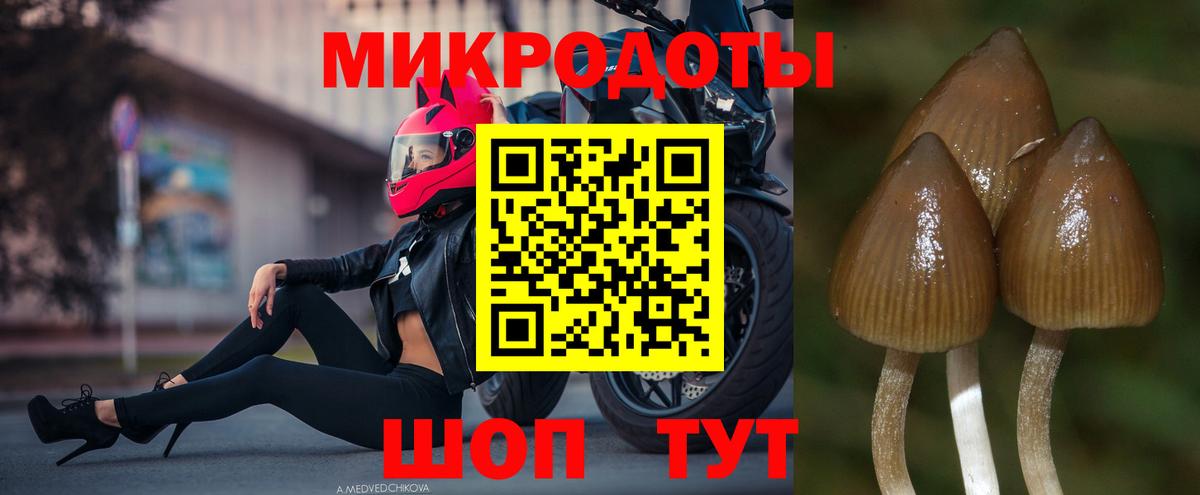 Метадон Тихвин